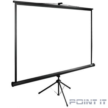 Экран Cactus TriExpert CS-PSTE-220x165-BK 165x220 см 4:3 напольный рулонный